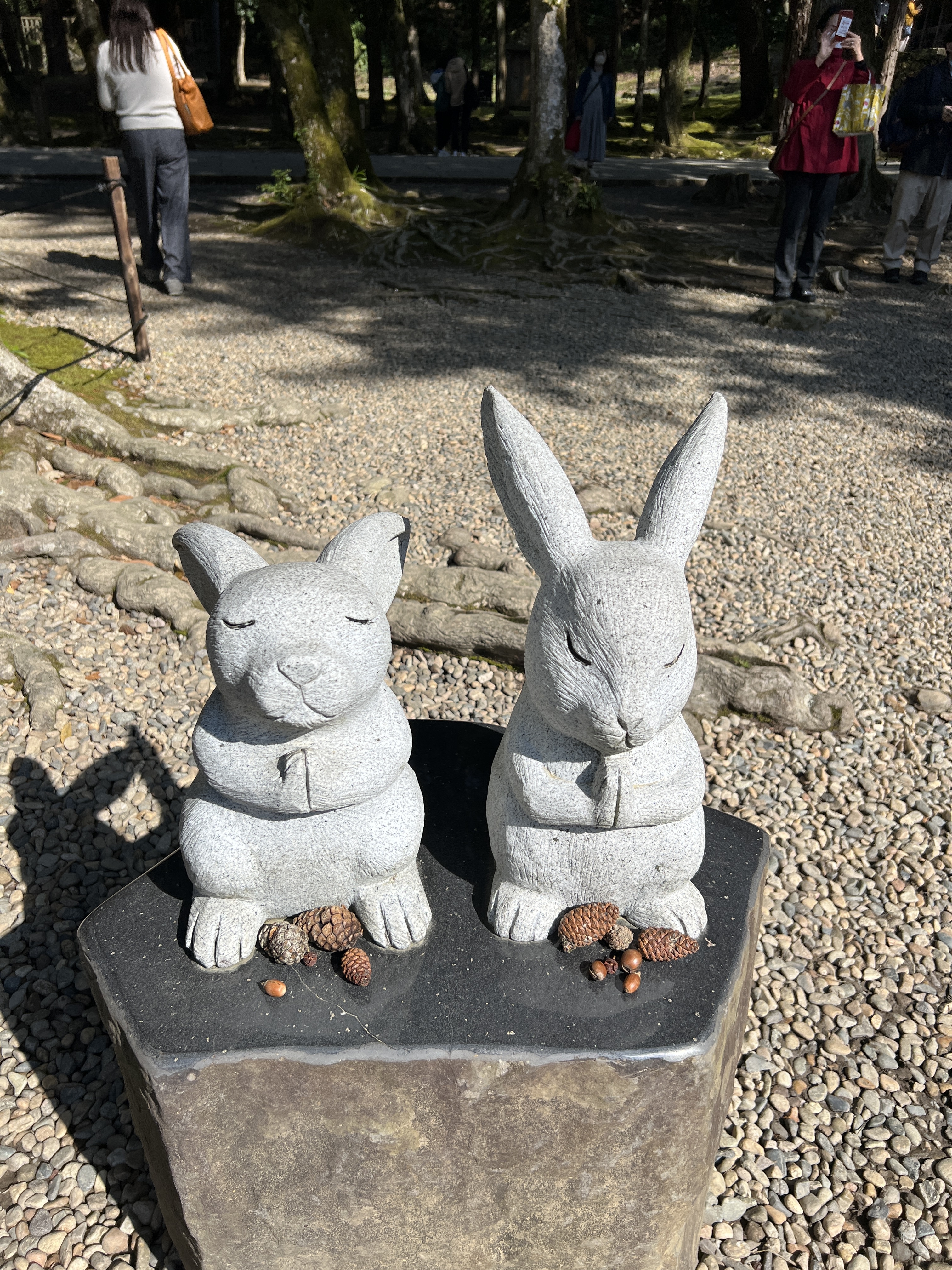 因幡の白兎