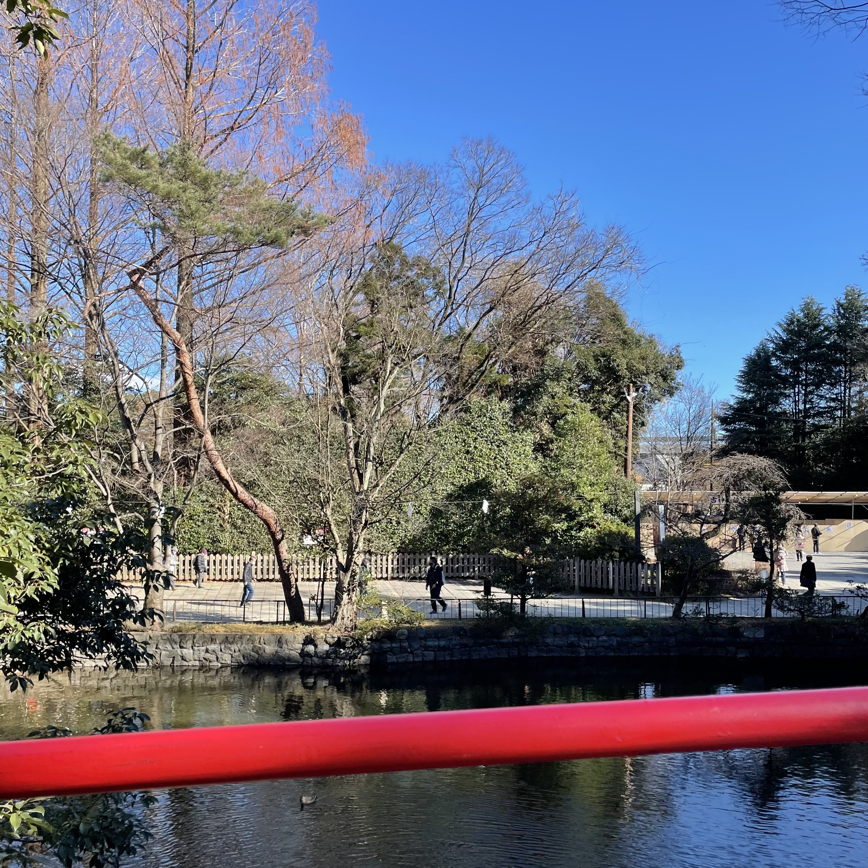武蔵一宮氷川神社　　初詣　神池