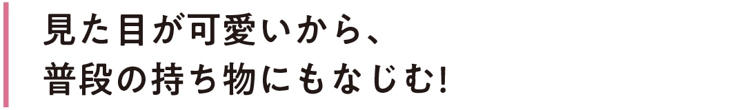 見た目が可愛いから、普段の持ち物にもなじむ