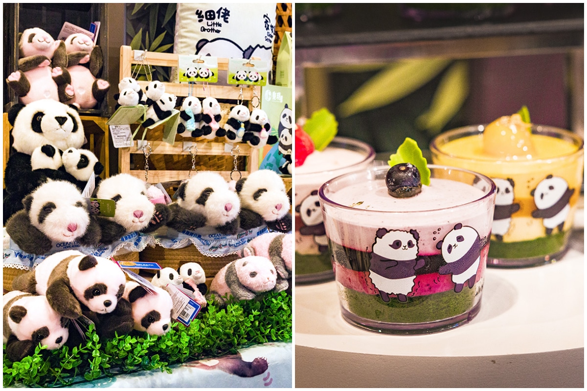 香港『オーシャンパーク』の双子パンダグッズとムースのスイーツ