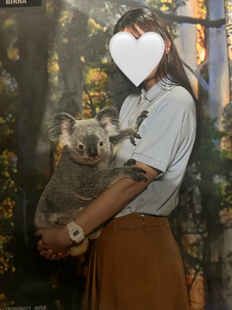 コアラがカメラ目線で私の腕を掴んでいる。